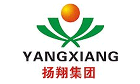扬翔集团