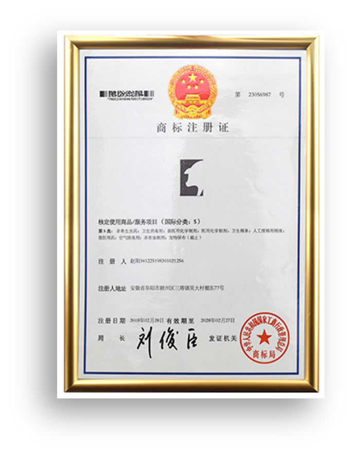 证书5